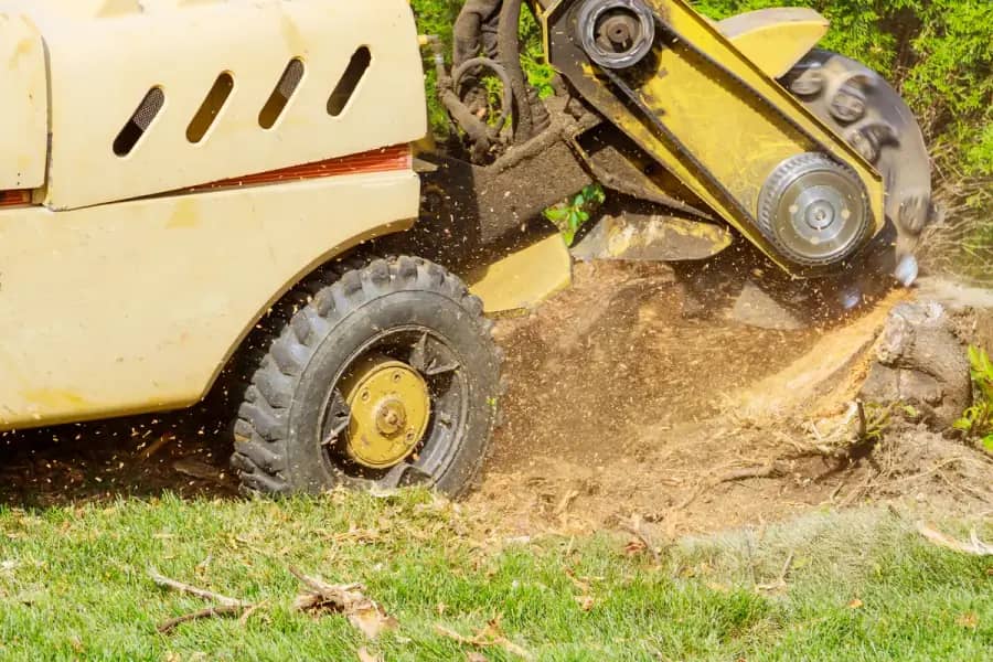 Stump Grinding by Richmond TreeWorks in Richmond